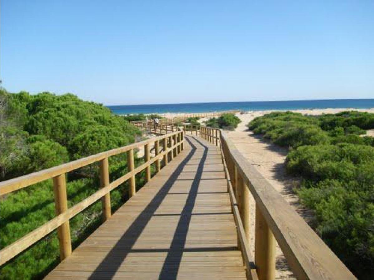 Casa De Kiwi Villa Santa Pola Eksteriør billede